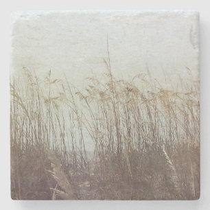 Through the Dunes II Stone Coaster