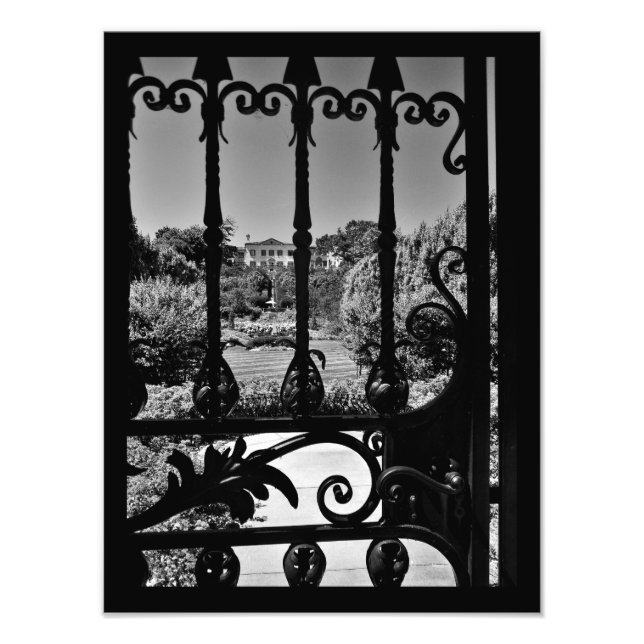 Through the Gate Photo Print (Front)