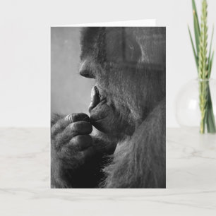 Through The Glass Deep In Thought   Photo Blank Card