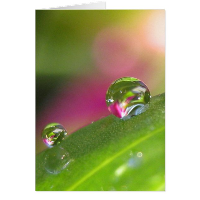 Through The Looking Glass Card (Front)