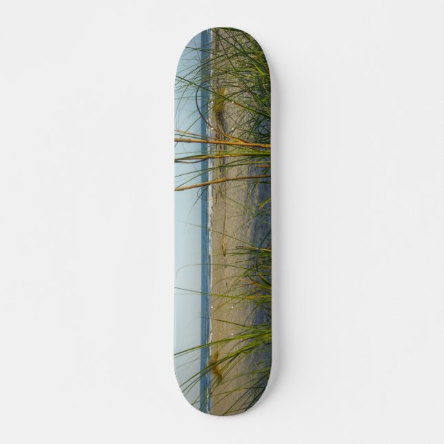 Through The Sea Oats Skateboard (Front)
