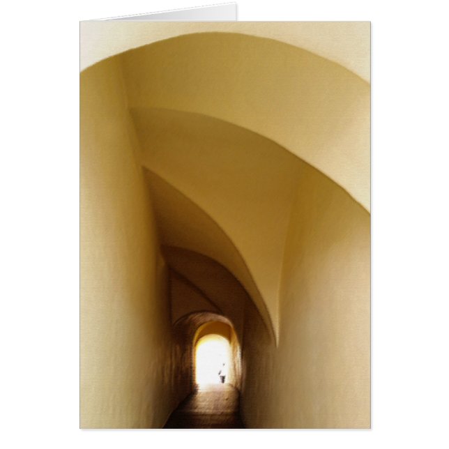 through the tunnel (Front)