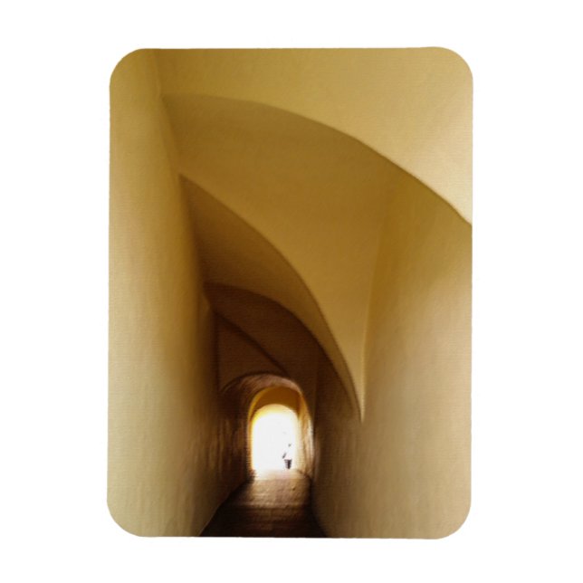 through the tunnel magnet (Vertical)