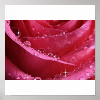 Through The Window Of Light Poster