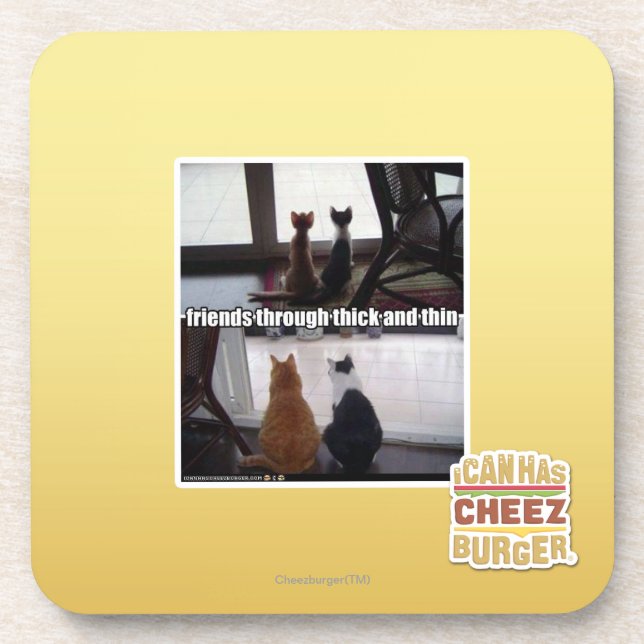 Through thick and thin coaster (Front)