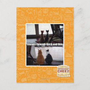 Through thick and thin postcard