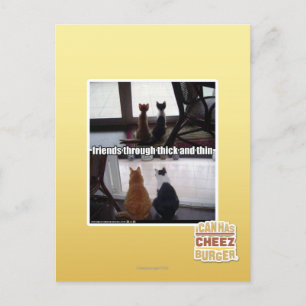 Through thick and thin postcard