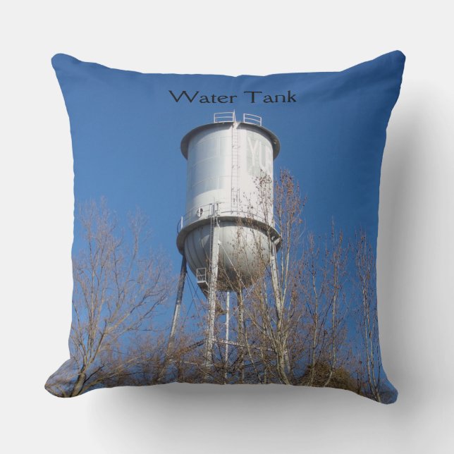 Throw Pillow (Front)