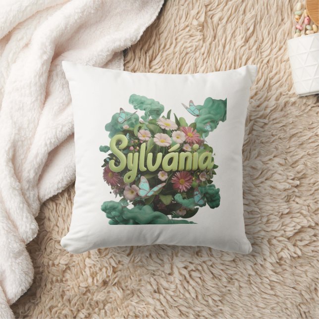 throw pillow (Blanket)