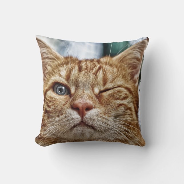 Throw Pillow 16" x 16" (Front)