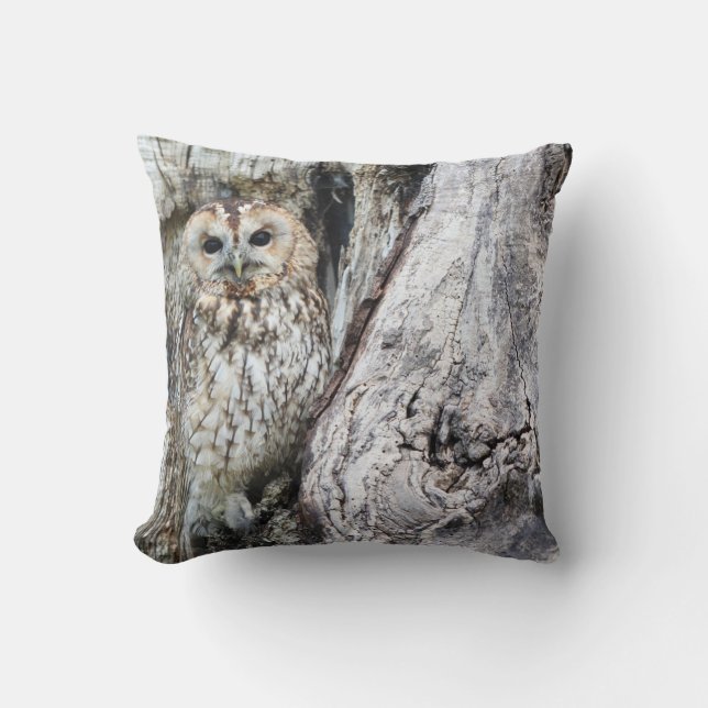 Throw Pillow 16" x 16" (Front)