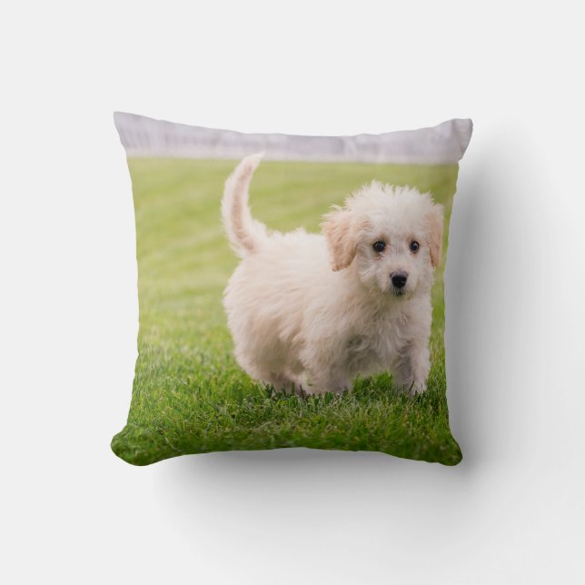 Throw Pillow 16" x 16" (Front)