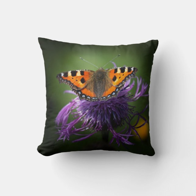 Throw Pillow 16" x 16" (Front)
