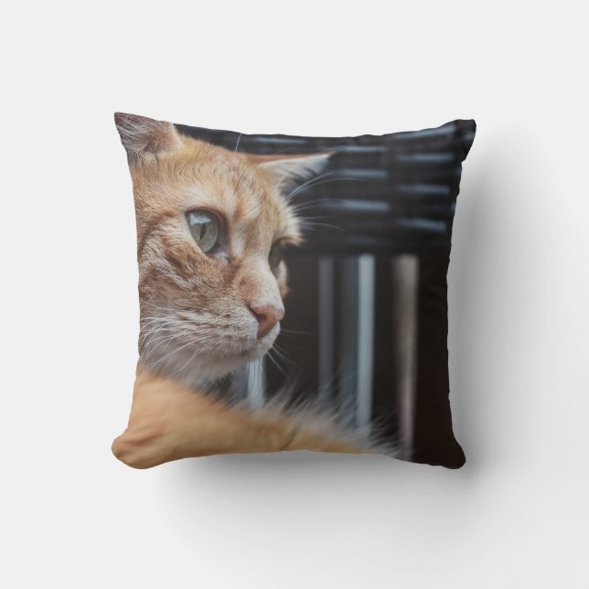 Throw Pillow 16" x 16" (Front)