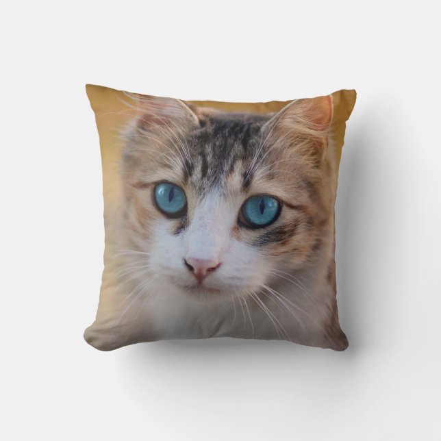 Throw Pillow 16" x 16" (Front)