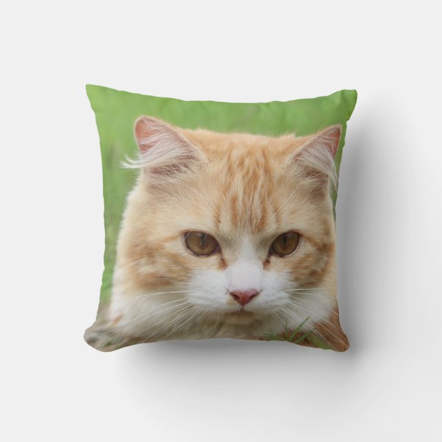Throw Pillow 16" x 16" (Front)