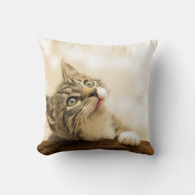 Throw Pillow 16" x 16" (Front)