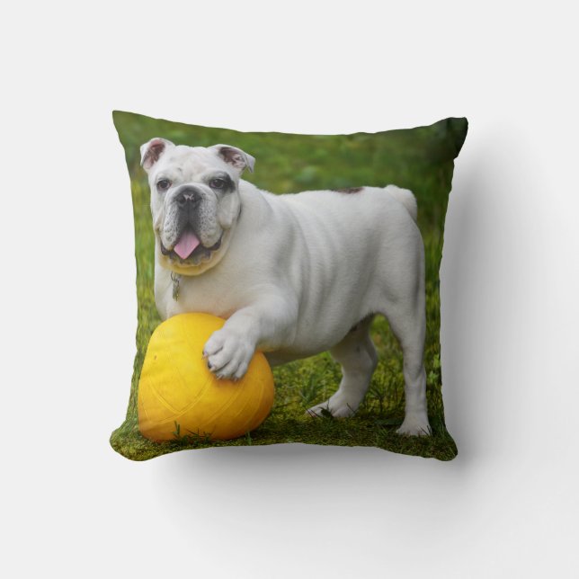 Throw Pillow 16" x 16" (Front)