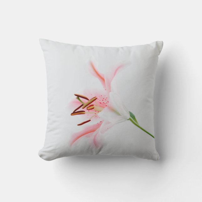 Throw Pillow 16" x 16" (Front)