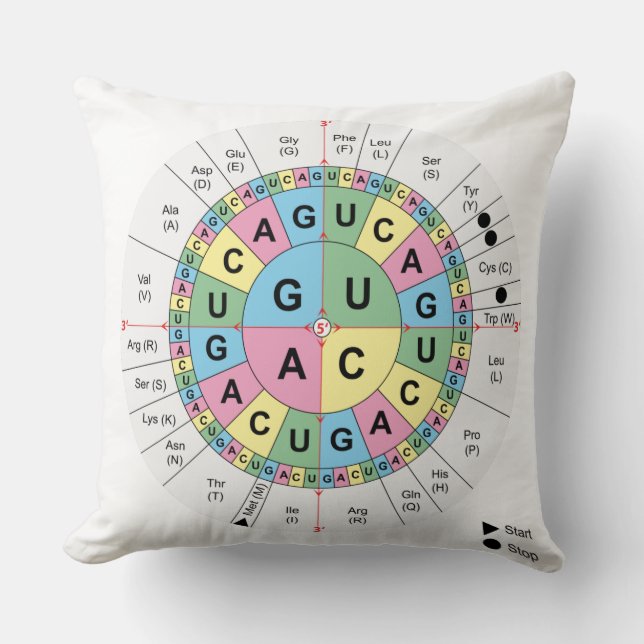 Throw Pillow Codons Amino Acids Genetic Code DNA (Front)