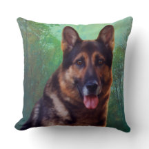 Throw Pillow Collection