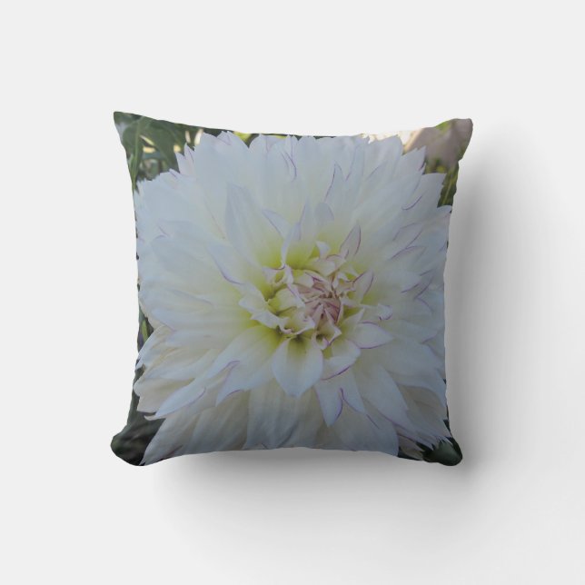 Throw Pillow--"Crazy Love" Dahlia Throw Pillow (Front)