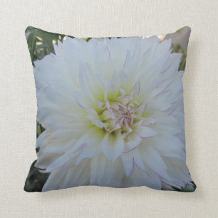 Throw Pillow--"Crazy Love" Dahlia Throw Pillow