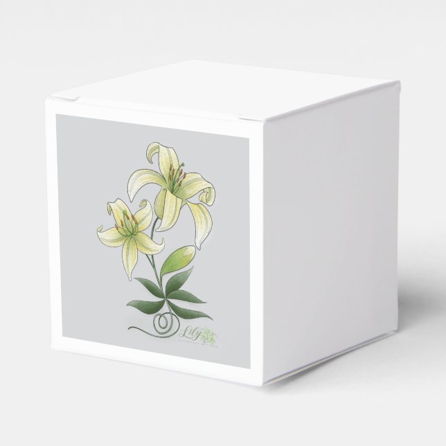 Throw Pillow Favor Box (Front Side)