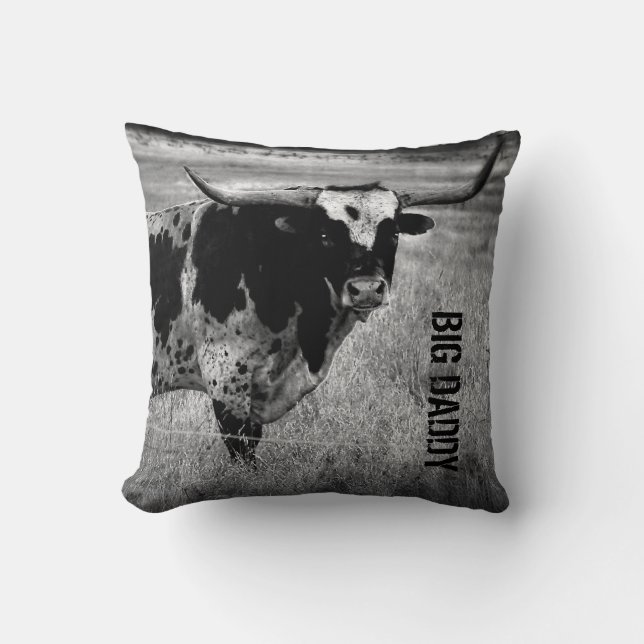 Throw pillow with a Texas Long horn on it (Front)