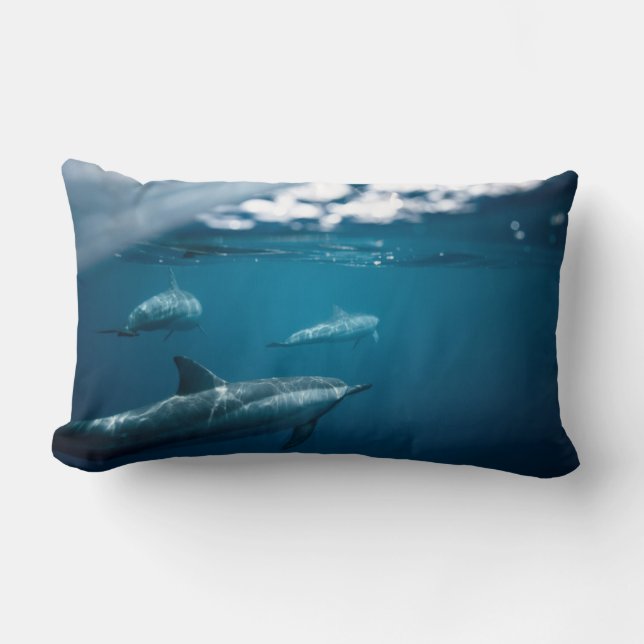Throw Pillows Split-shot Photo Dolphins Underwater (Front)