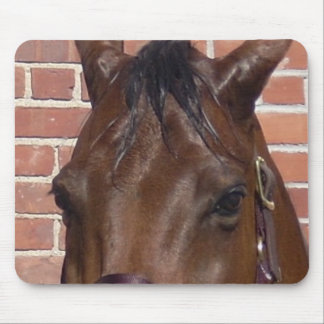 Thru A Horse's Eyes Mouse Pad
