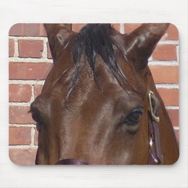 Thru A Horse's Eyes Mouse Pad (Front)