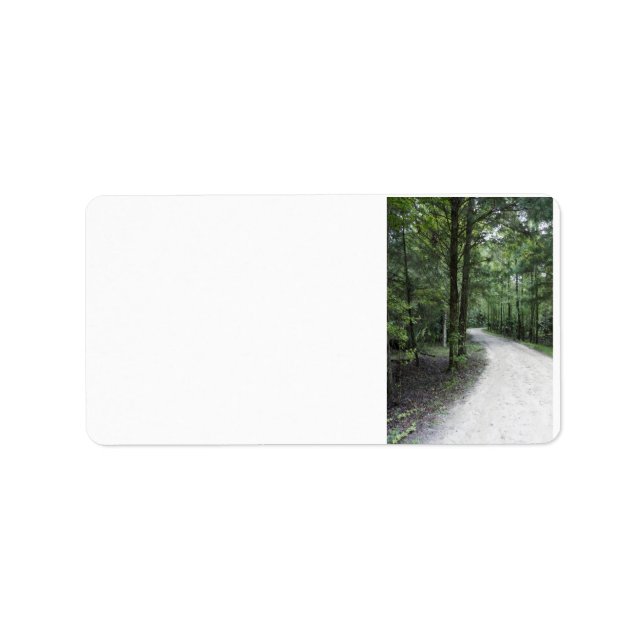 Thru the Florida Woods Label (Front)