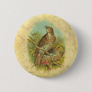 Thrush Vintage 2 Inch Round Button
