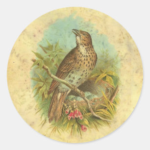 Thrush Vintage Classic Round Sticker