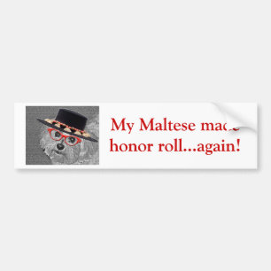 Thumbellina is my name I'm a beautiful maltese Bumper Sticker