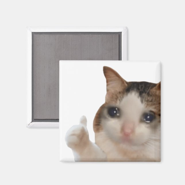 Thumbs Up Ok Cat Meme Magnet (Recto/Verso)