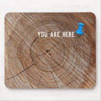 thumbtack on tree with rings
