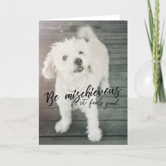 THUMPER DOG Greeting Card