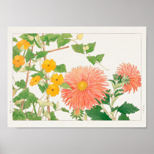 Thunbergia, China aster by Tanigami Konan Poster