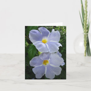 Thunbergia Fairy Moon Photo Folded Note Card