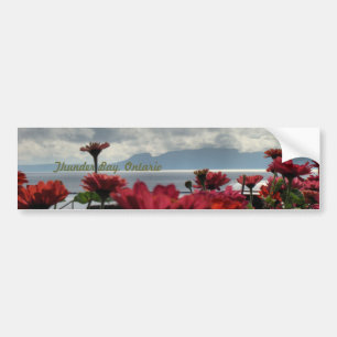 Thunder Bay Bumper Sticker
