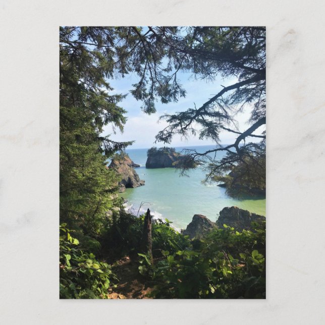 Thunder Rock Cove, Samuel H. Boardman, Oregon Postcard (Front)