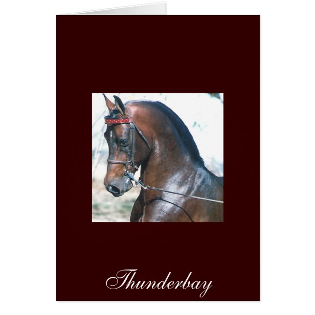 Thunderbay (Front)