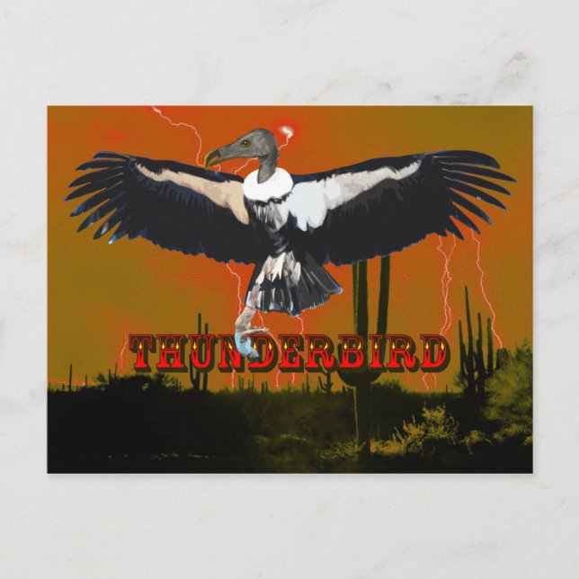 Thunderbird Postcard (Front)