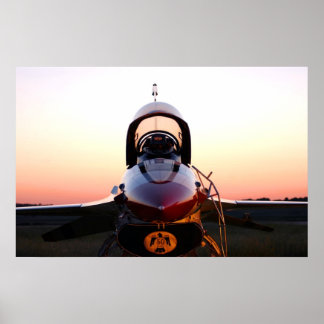 Thunderbirds Flight Demonstration Team Poster