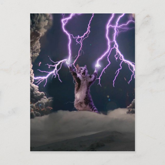 Thunderbolted cat postcard (Front)