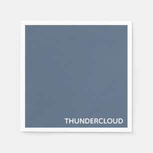 Thundercloud Blue-gray Color Name Napkin