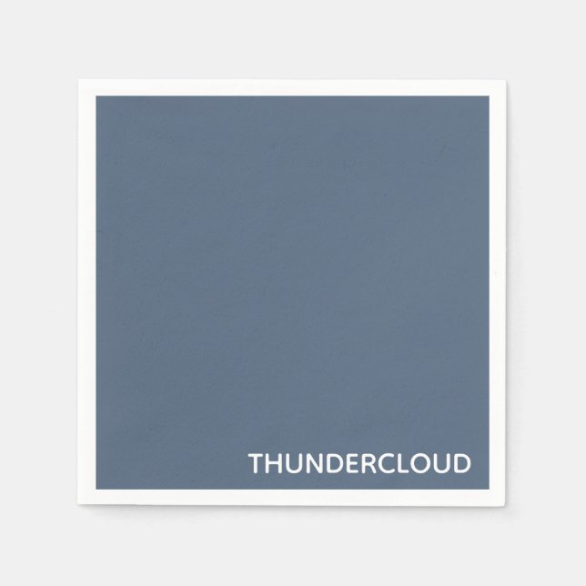 Thundercloud Blue-gray Color Name Napkin (Front)