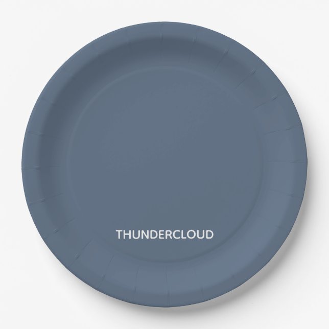 Thundercloud Blue-gray Color Name Paper Plate (Front)